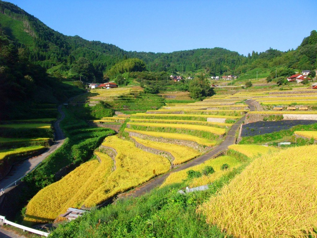 🏞️ 이니 계단식 논(이니노타나다) 이미지 1